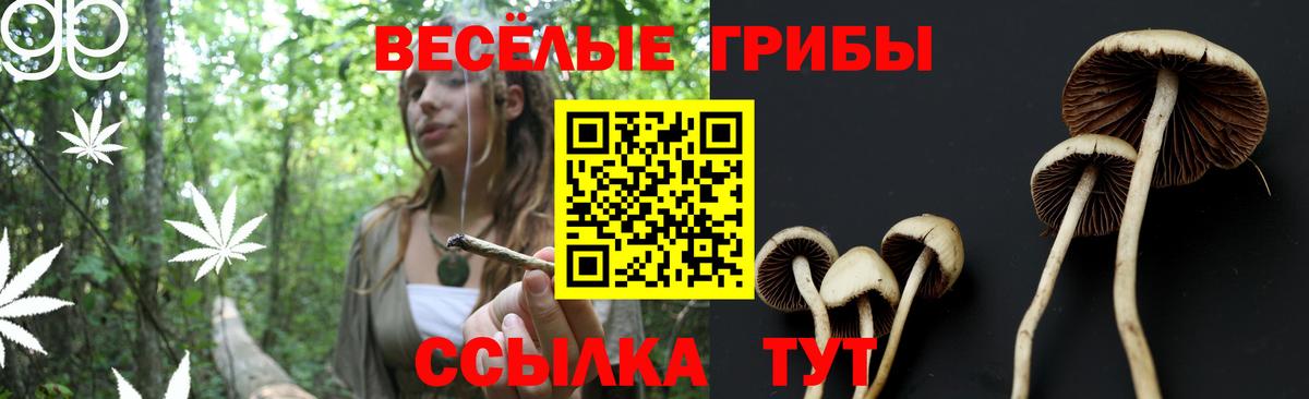 Псилоцибиновые грибы ЛСД Хасавюрт